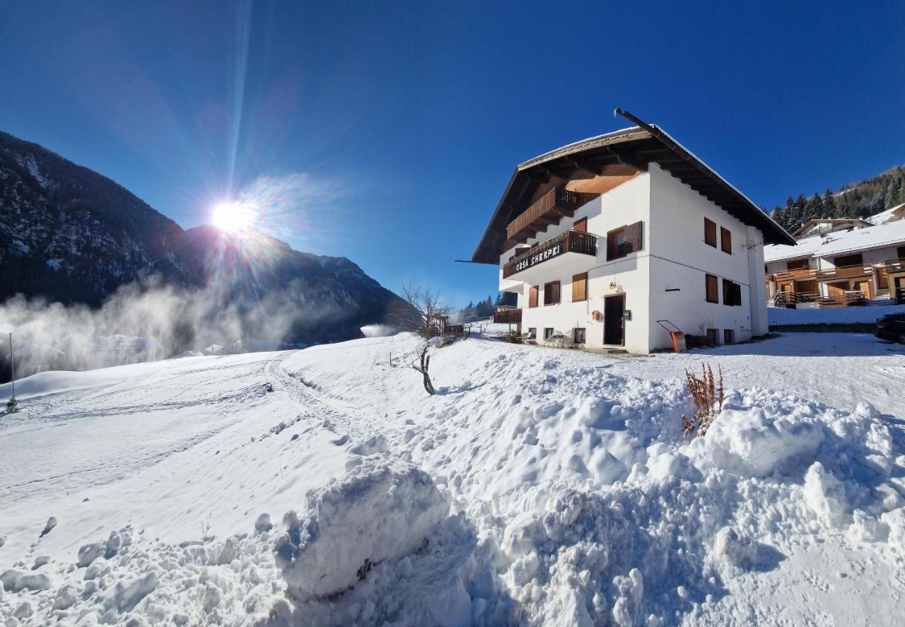 Cesa Cherpei - Dog Friendly Campitello di Fassa Zewnętrze zdjęcie