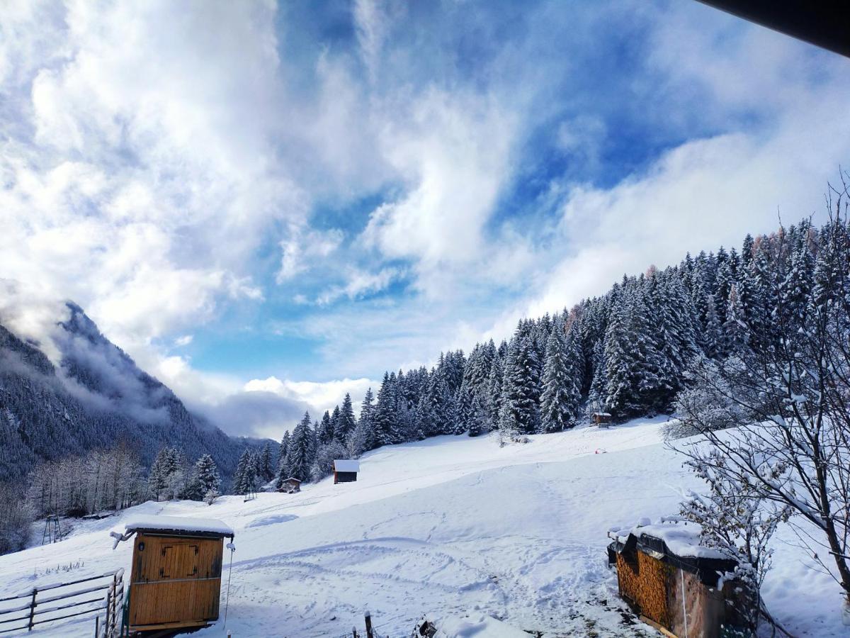 Cesa Cherpei - Dog Friendly Campitello di Fassa Zewnętrze zdjęcie