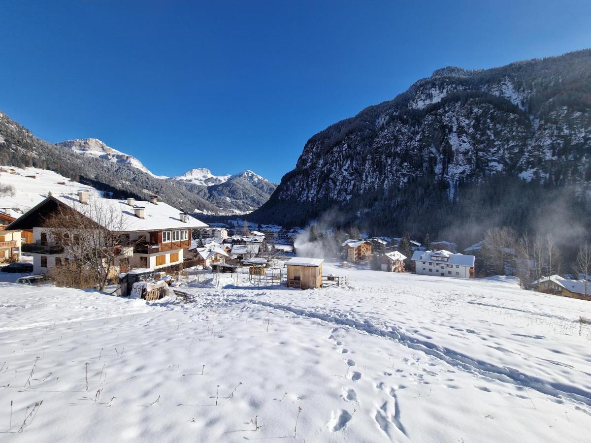 Cesa Cherpei - Dog Friendly Campitello di Fassa Zewnętrze zdjęcie