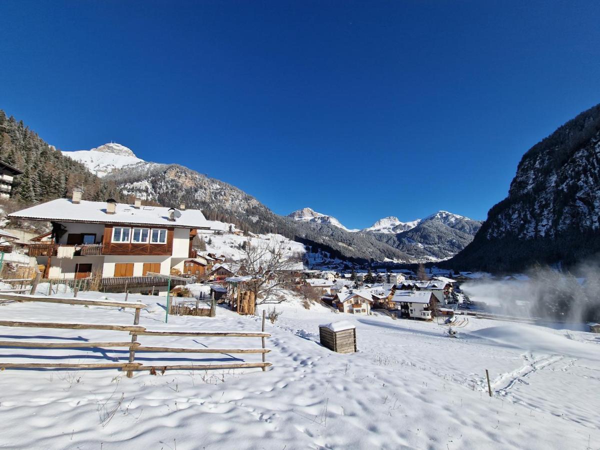 Cesa Cherpei - Dog Friendly Campitello di Fassa Zewnętrze zdjęcie