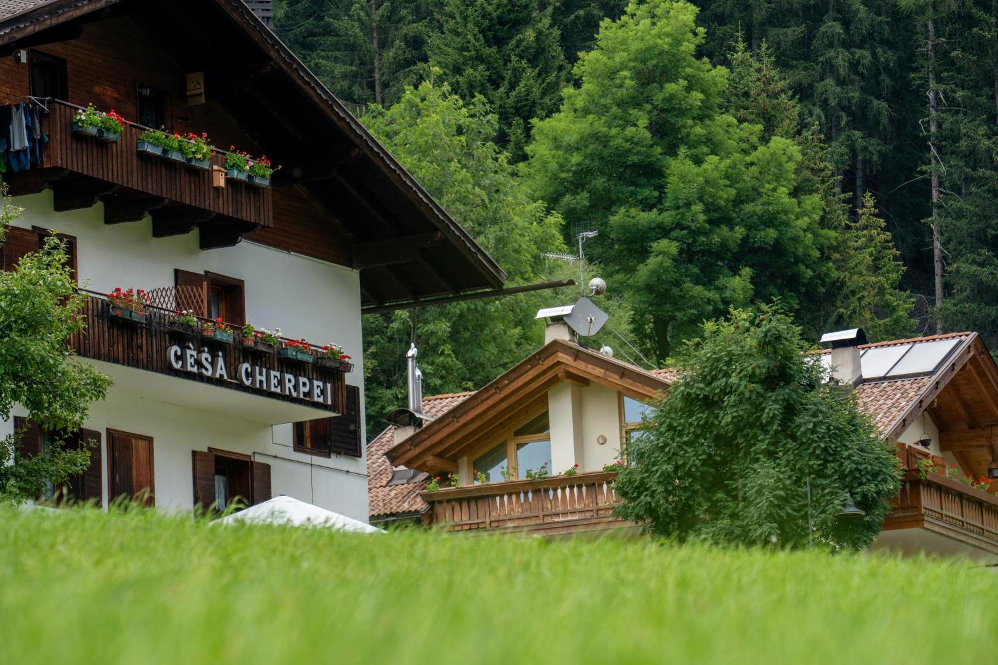 Cesa Cherpei - Dog Friendly Campitello di Fassa Zewnętrze zdjęcie