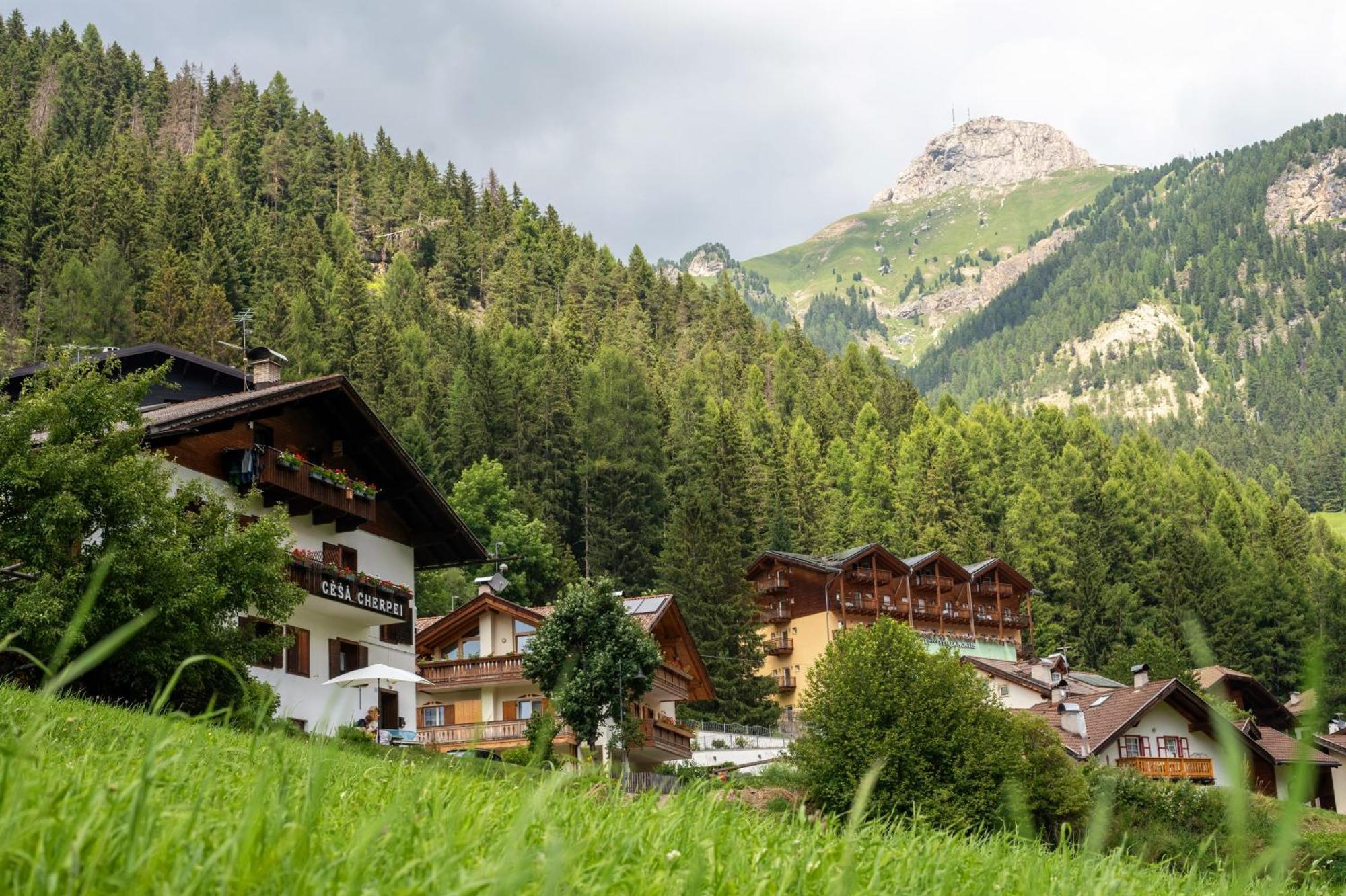 Cesa Cherpei - Dog Friendly Campitello di Fassa Zewnętrze zdjęcie